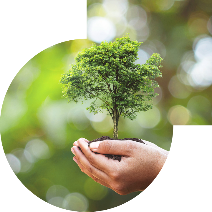 关怀人类、文化、环境与社会